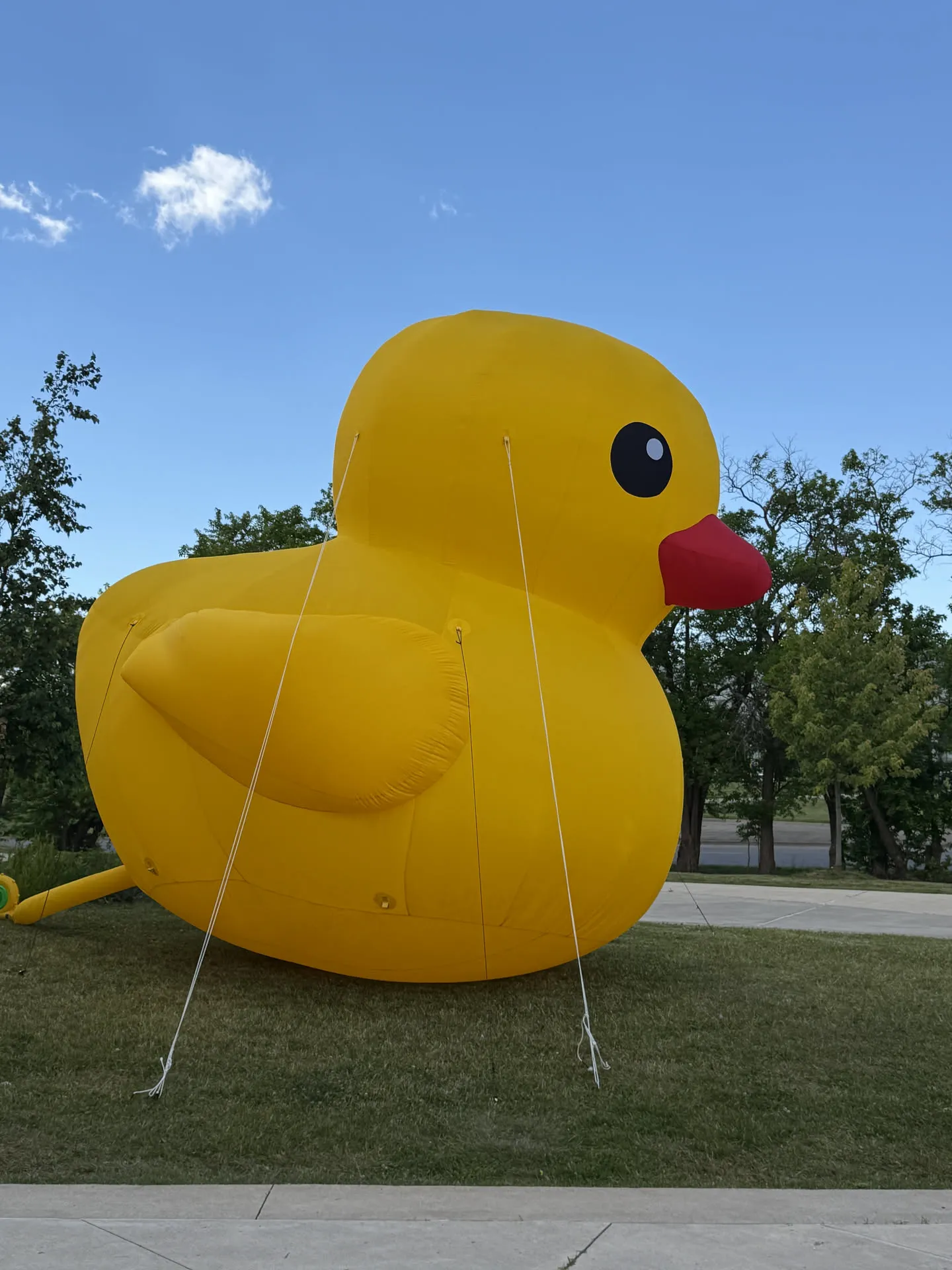 Rubber Ducky