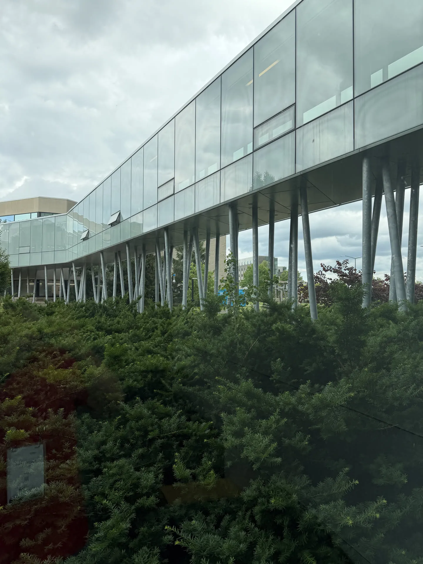 campus window