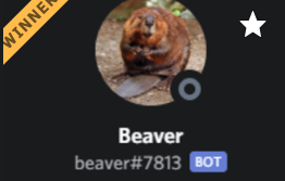 BeaverBot Thumbnail
